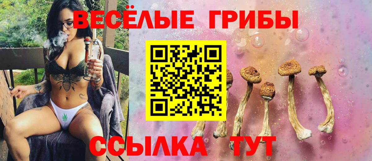 Псилоцибиновые грибы Cubensis  Вход с VPN  Миасс 